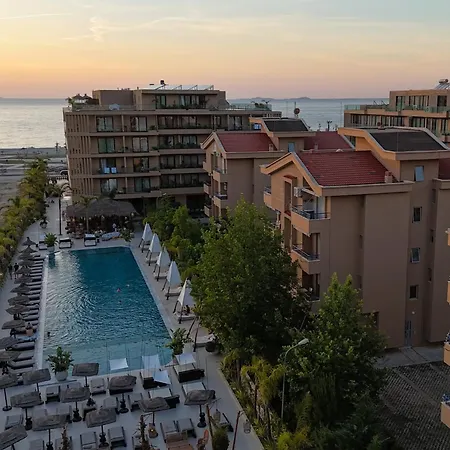 Seaside Serenity Palm - Happy Vlorë