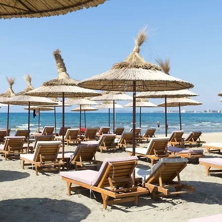 Seaside Serenity Palm - Happy Vlorë